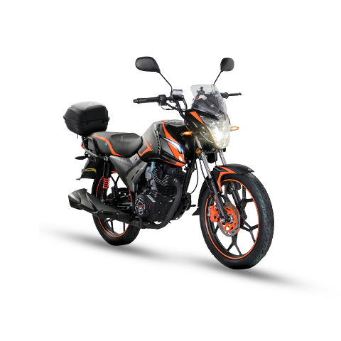CYCLONE21027 GRIS